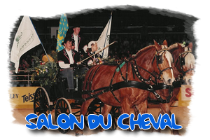 Salon du Cheval